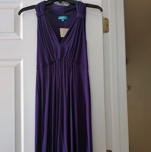 Boutique vfish High-Low dress